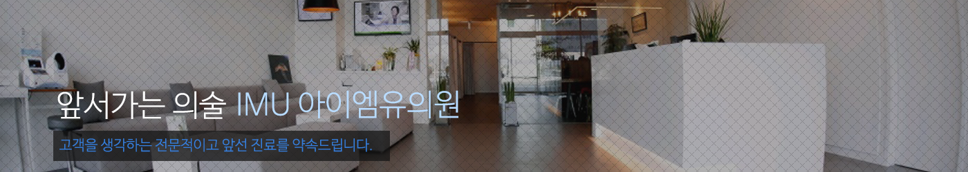 이미지명